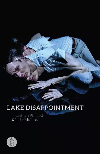 Lake Disappointment cover