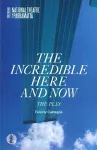 The Incredible Here and Now cover