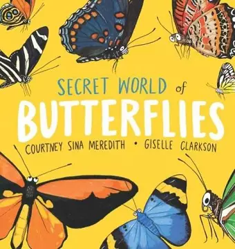 Secret World of Butterflies cover