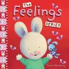 The Feelings Series: 10 Book Slipcase cover