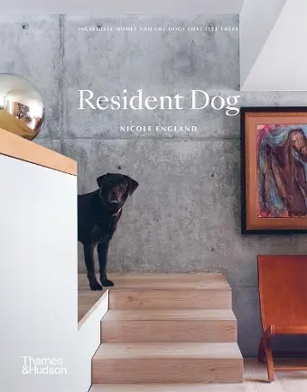 Resident Dog cover