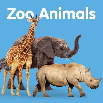 Zoo Animals cover