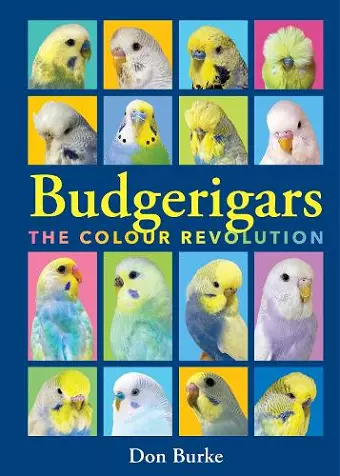 Budgerigars cover