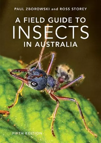 A Field Guide to Insects of Australia cover