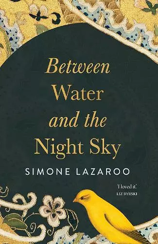 Between Water and the Night Sky cover