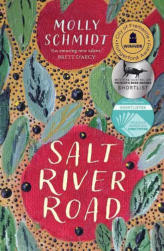 Salt River Road cover