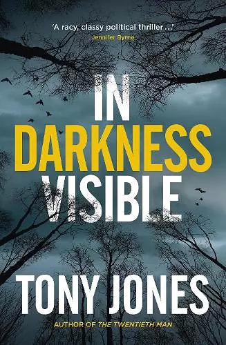 In Darkness Visible cover