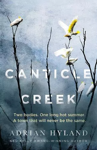 Canticle Creek cover