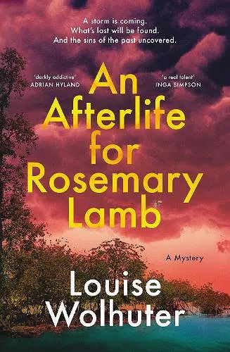 An Afterlife for Rosemary Lamb cover