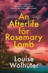 An Afterlife for Rosemary Lamb cover