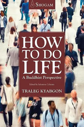 How To Do Life cover