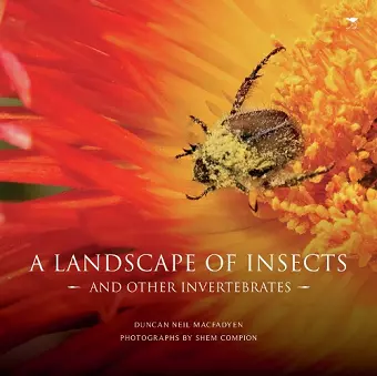 A landscape of insects and other invertebrates cover