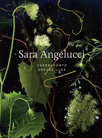 Sara Angelucci: Undergrowth / Brousailles cover