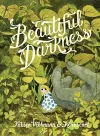 Beautiful Darkness cover