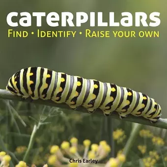 Caterpillars cover