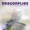 Dragonflies: Hunting - Identifying - How and Where They Live cover
