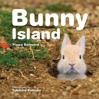 Bunny Island cover