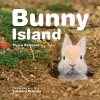 Bunny Island cover