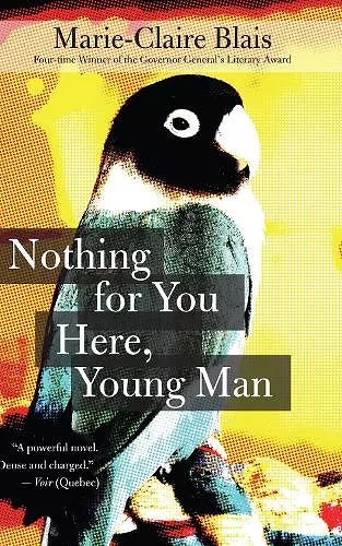 Nothing For You Here, Young Man cover