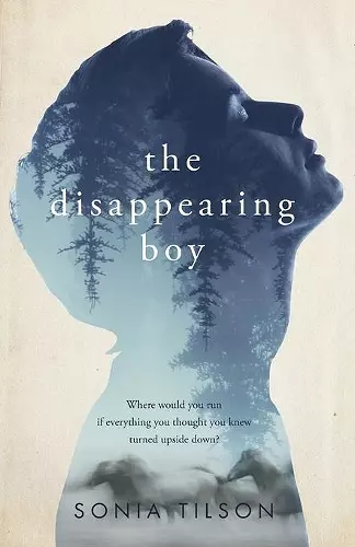 The Disappearing Boy cover