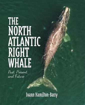 The North Atlantic Right Whale cover