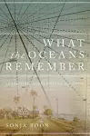 What the Oceans Remember cover