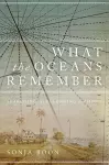 What the Oceans Remember cover