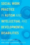 Social Work Practice in Autism and Intellectual and Developmental Disabilities cover
