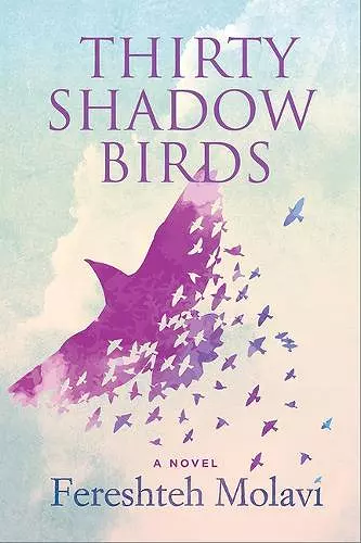 Thirty Shadow Birds cover