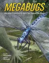 Megabugs cover