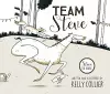 Team Steve cover