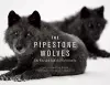 The Pipestone Wolves cover