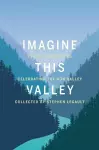 Imagine This Valley cover