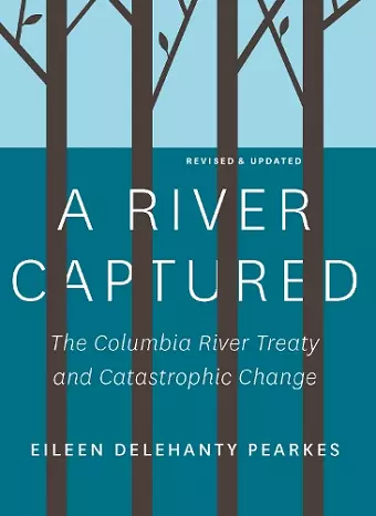 A River Captured cover