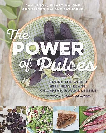 The Power of Pulses cover