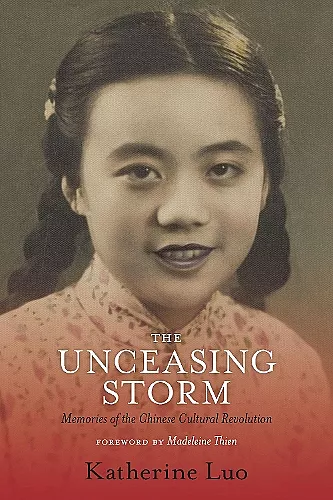 The Unceasing Storm cover
