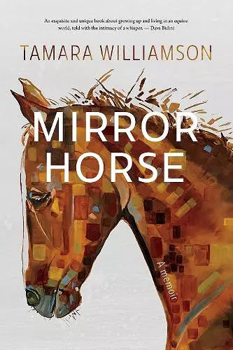 Mirror Horse cover