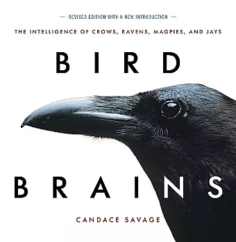 Bird Brains cover