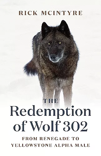 The Redemption of Wolf 302 cover