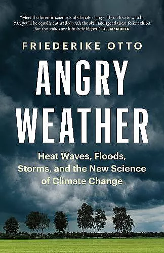 Angry Weather cover