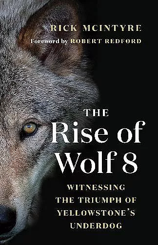 The Rise of Wolf 8 cover