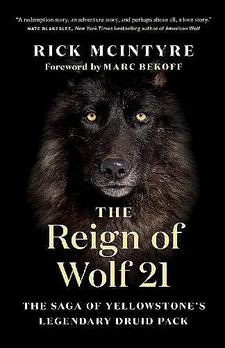 The Reign of Wolf 21 cover
