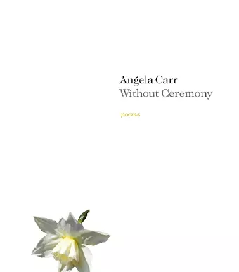 Without Ceremony cover
