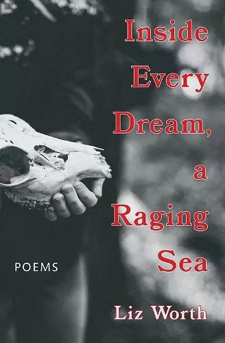 Inside Every Dream, a Raging Sea cover