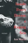 Inside Every Dream, a Raging Sea cover