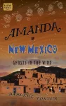 Amanda in New Mexico cover