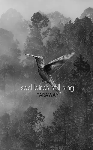 Sad Birds Still Sing cover