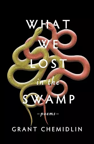 What We Lost in the Swamp cover