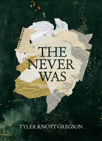 The Never Was cover