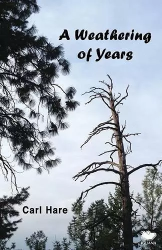 A Weathering of Years cover